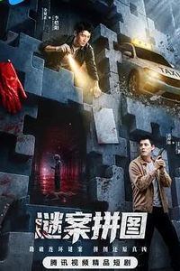 谜案拼图