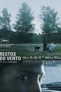 风的残迹