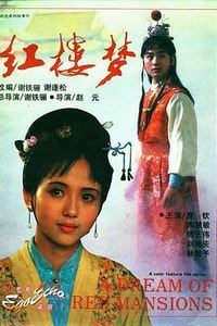 红楼梦第二部：黛玉葬花