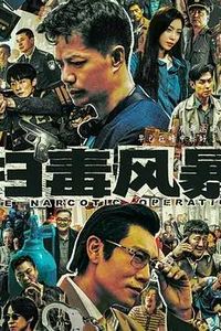 扫毒风暴