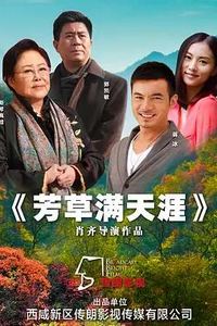 芳草满天涯
