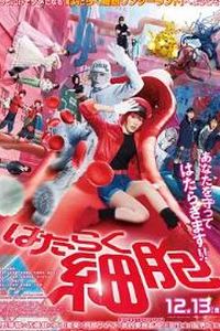 工作细胞 真人版