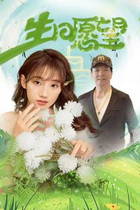 生日愿望2025