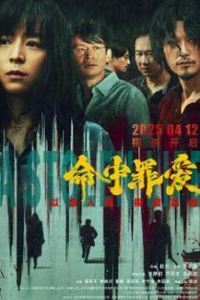 命中罪爱