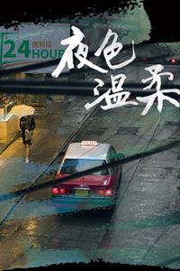 夜色温柔2025