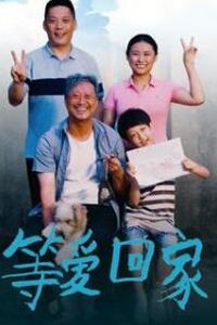 等爱回家2025