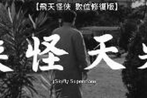 飞天怪侠
