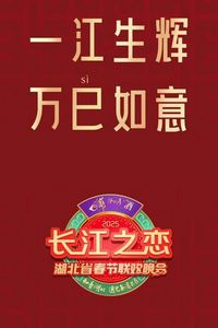 2025湖北卫视春晚