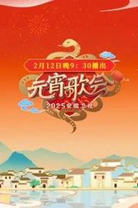 2025安徽元宵晚会