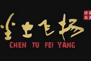 尘土飞扬2018