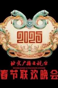 2025北京卫视春晚