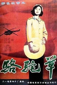 骆驼草