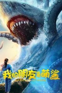 我的朋友是萌鲨