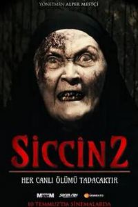 西辛2