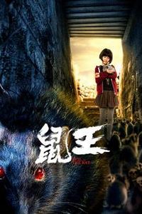 鼠王2025