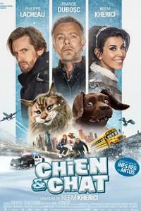 猫狗大乱斗