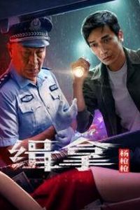 缉拿杨枪枪