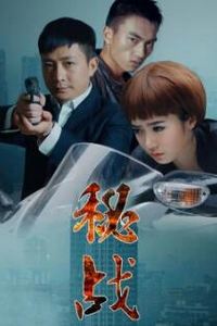秘战2015