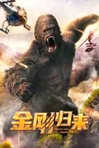 金刚归来2024
