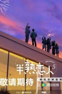 半熟恋人第五季