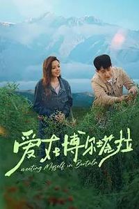爱在博尔塔拉