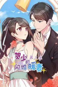 贺少的闪婚暖妻第三季