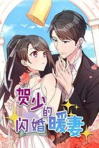 贺少的闪婚暖妻