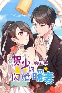 贺少的闪婚暖妻第五季