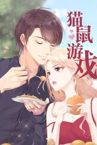 猫鼠游戏动态漫
