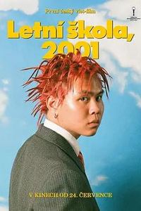 2001年的夏天