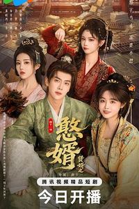 贤婿之憨婿