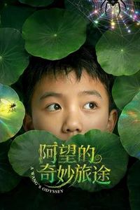 阿望的奇妙旅途