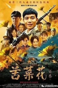苦菜花2026