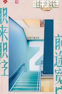职来职往2026