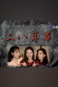 二八年华