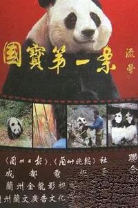国宝第一案