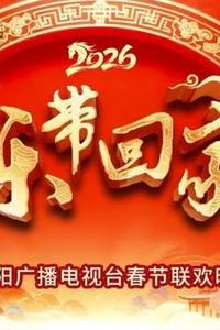 2026把乐带回家沈视春晚