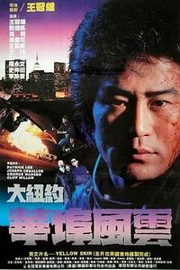 大纽约华埠风云