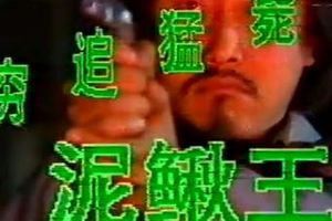 穷追猛毙泥鳅王