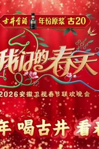2026安徽卫视春晚