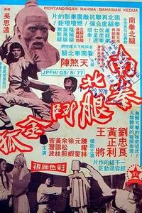 南拳北腿斗金狐
