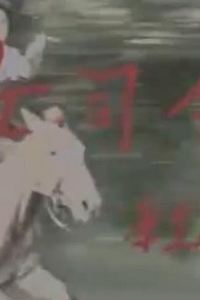 女司令