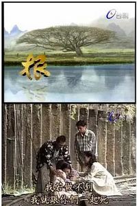 根
