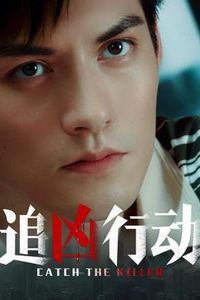 追凶行动