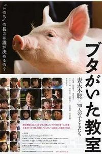 小猪教室