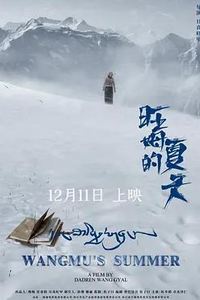 旺姆的夏天