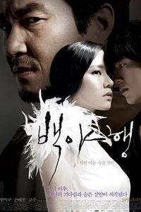 白夜行2009