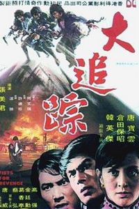 大追踪