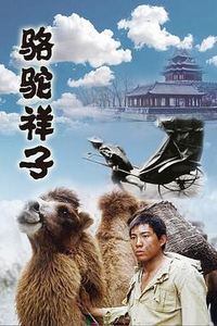 骆驼祥子1998