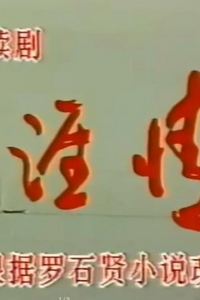 天涯情